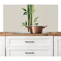 KitchenYeah Spatscherm keuken 120x60 cm - Kookplaat achterwand Bamboestengels - Sierlijk - Groen - Muurbeschermer - Spatwand fornuis - Hoogwaardig aluminium