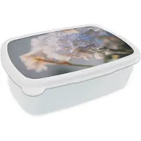 MuchoWow Broodtrommel Wit - Lunchbox Bloemen - Lichtblauw - Wazig - Trosje - Brooddoos 18x12x6 cm - Brood lunch box - Broodtrommels voor kinderen en volwassenen