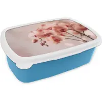 MuchoWow Broodtrommel Blauw - Lunchbox Orchidee - Bloemen - Roze - Bloemblaadjes - Brooddoos 18x12x6 cm - Brood lunch box - Broodtrommels voor kinderen en volwassenen
