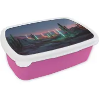 MuchoWow Broodtrommel Roze - Lunchbox Cactus - Lichtzuilen - Zonsondergang - Brooddoos 18x12x6 cm - Brood lunch box - Broodtrommels voor kinderen en volwassenen