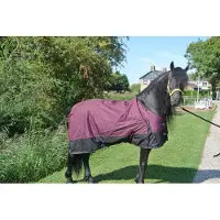 GPD Regendeken de luxe 300 gram Zwart/wine red