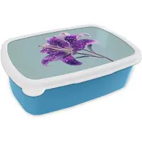 MuchoWow Broodtrommel Blauw - Lunchbox Lelie - Bloem - Paars - Stippen - Brooddoos 18x12x6 cm - Brood lunch box - Broodtrommels voor kinderen en volwassenen