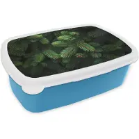 MuchoWow Broodtrommel Blauw - Lunchbox Sparrentakken - Knoppen - Naalden - Groen - Brooddoos 18x12x6 cm - Brood lunch box - Broodtrommels voor kinderen en volwassenen