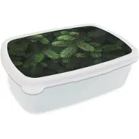 MuchoWow Broodtrommel Wit - Lunchbox Sparrentakken - Knoppen - Naalden - Groen - Brooddoos 18x12x6 cm - Brood lunch box - Broodtrommels voor kinderen en volwassenen
