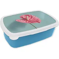 MuchoWow Broodtrommel Blauw - Lunchbox Blad - Anthurium - Stippen - Roze - Brooddoos 18x12x6 cm - Brood lunch box - Broodtrommels voor kinderen en volwassenen