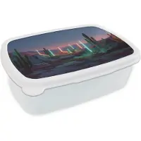 MuchoWow Broodtrommel Wit - Lunchbox Cactus - Lichtzuilen - Zonsondergang - Brooddoos 18x12x6 cm - Brood lunch box - Broodtrommels voor kinderen en volwassenen