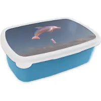 MuchoWow Broodtrommel Blauw - Lunchbox Dolfijn - Roze - Astronaut - Brooddoos 18x12x6 cm - Brood lunch box - Broodtrommels voor kinderen en volwassenen