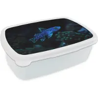 MuchoWow Broodtrommel Wit - Lunchbox Vis - Stippen - Koraal - Blauw - Brooddoos 18x12x6 cm - Brood lunch box - Broodtrommels voor kinderen en volwassenen