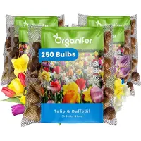 Organifer 250 Tulpen- en Narcissen Mix - 8 Soorten - XXL Bolmaat 12/14 cm/+ - Bloembollen - Narcissen - Kleurenmix - Zomerbollen - Voorjaarsbollen - Trekt vlinders en bijen aan - Vaste planten -