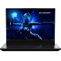 Medion Erazer Beast 18 X1 MD62729 BE