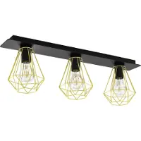 Eglo Plafondlamp Tarbes 2 zwart met goud