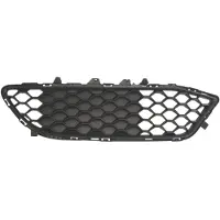 BLIC Bumper - ventilatierooster 6502-07-0106915P