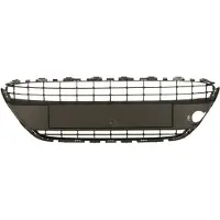 BLIC Ventilatierooster, bumper 6509-01-2565995P
