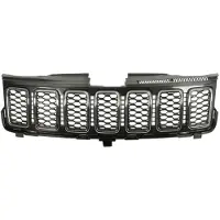 BLIC Radiatorrooster 6502-07-3207902P
