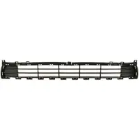 BLIC 6502-07-3296911P Ventilatiegrille, bumper