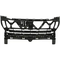 BLIC 6502-07-5721915P Ventilatiegrille, bumper