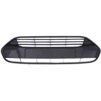 BLIC Ventilatierooster, bumper 6502-07-2508996Q