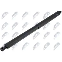 NTY AE-PL-072 Gasveer achterklep