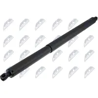 NTY AE-HY-065 Gasveer achterklep
