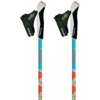 Gabel Nordic Energy F.l Stokken Groen 70-110 cm
