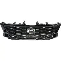 BLIC 6502-07-6630990Q Radiator grill