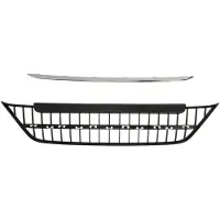 BLIC 6502-07-2018996P Radiator grill