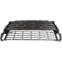 BLIC 6502-07-8173915P Ventilatiegrille, bumper