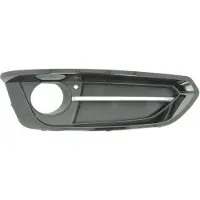 BLIC 6502-07-0069918P Ventilatiegrille, bumper