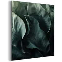 MuchoWow Aluminium schilderij 50x50 cm - Wanddecoratie metaal - Groen - Bladeren - Glad - Nerven - Metalen muurdecoratie woonkamer - Decoratie industrieel - Foto op dibond - Industriële accessoires slaapkamer