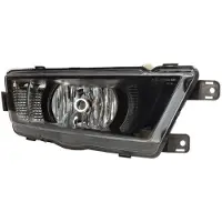 Zkw 1062.102.0099 Mistlamp