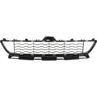 BLIC Ventilatierooster, bumper 6502-07-0070910P