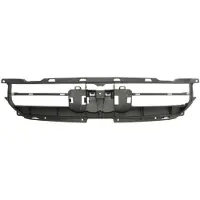 BLIC Element van de radiatordop 6502-07-0029995P