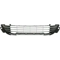 BLIC 6502-07-5508915Q Ventilatiegrille, bumper
