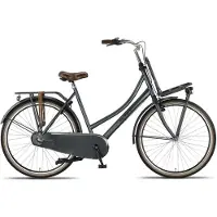 Altec Transportfiets dames Dutch 28 Inch 50 cm Dames 3V Terugtraprem Donkergrijs
