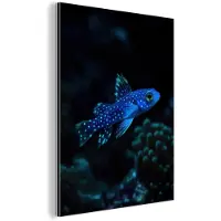 MuchoWow Aluminium schilderij 120x160 cm - Wanddecoratie metaal - Vis - Stippen - Koraal - Blauw - Metalen muurdecoratie woonkamer - Decoratie industrieel - Foto op dibond - Industriële accessoires slaapkamer