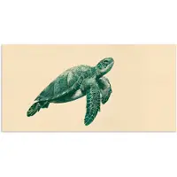PosterMonkey Poster 120x60 cm - Schildpad - Sierlijk - Groen - Schild - Posters - Kamer decoratie - Wanddecoratie woonkamer - Muurdecoratie slaapkamer