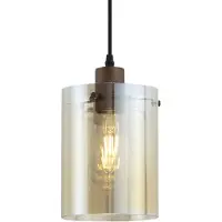 QAZQA Moderne spot donkerbrons met amberkleurig glas voor railsysteem 1-fase - Iconic Dome