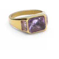 Notre-V Dames Sieraden Omfw22-016 - Goudkleurig - Maat ONESIZE