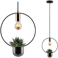 Paulmann Tasja 79748 Hanglamp Speciale lamp E27 20 W Koper, Zwart