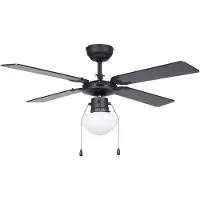 Eglo Plafondventilator Fortaleza zwart