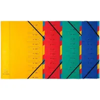 Exacompta 8x Sorteermap met vaste rug en elastosluiting - 12 indelingen - Geassorteerd - 54120E