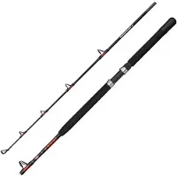 Penn Warfare Ii Boat Jigging Rod Zilver 1.83 m / 50 Lbs