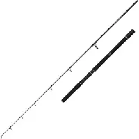 Penn Squadron Iv Jigging Rod Zilver 2.04 m / 300-600 g