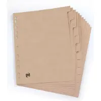 Hamelin Touareg tabbladen, uit karton, ft A4, onbedrukt, 11-gaatsperforatie, 12 tabs 20 stuks