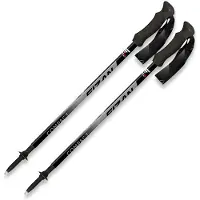 Fizan Compact 4 Trekking Pole, grijs