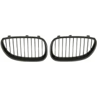 BLIC Radiatorrooster 6502-07-0066991KP