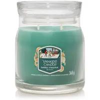 Yankee candle holiday winterfest signature medium jar |