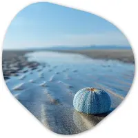 MuchoWow Organische wanddecoratie 60x60 cm - Organisch schilderij Strand - Schild - Water - Blauw - Muurdecoratie woonkamer - Kamer decoratie - Schilderijen - Muurcirkel aesthetic