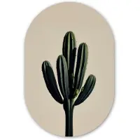 MuchoWow Muurovaal 40x60 cm - Ovale wanddecoratie Cactus - Subtiel - Groen - Ovalen schilderij - Muurdecoratie woonkamer - Kamer decoratie - Schilderijen - Wandcirkel