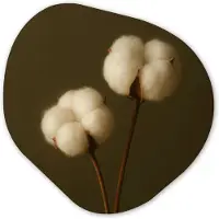 MuchoWow Organische wanddecoratie 60x60 cm - Organisch schilderij Takken - Katoen - Wit - Bollen - Muurdecoratie woonkamer - Kamer decoratie - Schilderijen - Muurcirkel aesthetic